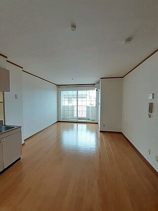 アドリセンス壱番館_内装_0