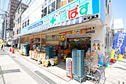 どらっぐぱぱす根津店 351m