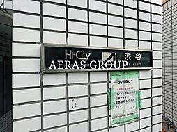 6 / 13