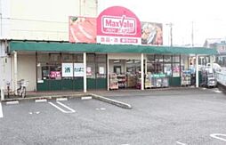 マックスバリュエクスプレス平山団地店 1093m