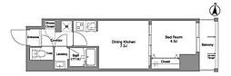 Daffitto錦糸町 1DKの間取図画像