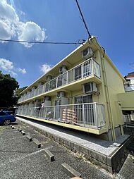 ルミニコスモス