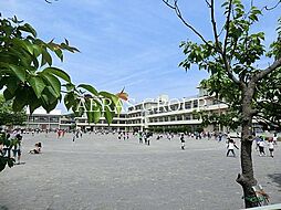[周辺] 鎌倉市立第一小学校 670m