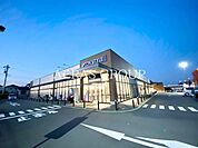 イオン 浦和美園店 828m
