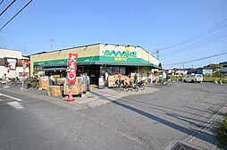 フレラウム