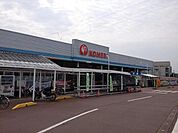 コメリ 1800m