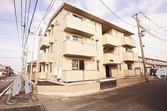 オリーブ_トップ画像