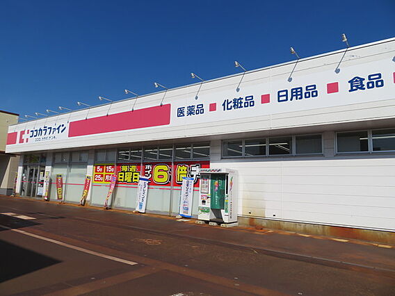 サンリバー今朝白2_周辺_5