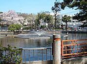 清水池公園 387m