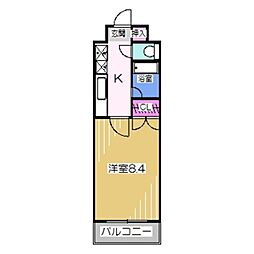 白鷺TKハイツ1号館 2階