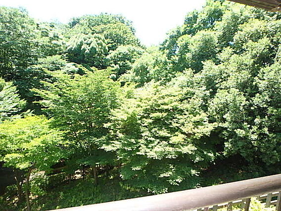 南野ハイツE号棟_その他_2