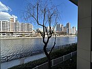 景色