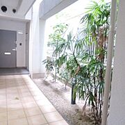 植栽
