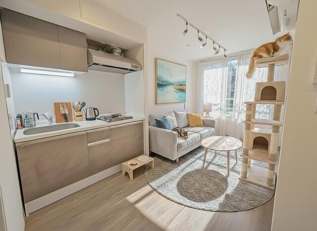 リビング/ダイニング