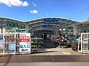 ホームセンターコーナン第二阪和鳳店 879m