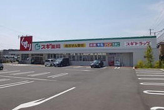 画像28:スギ薬局堺東雲店 1028m