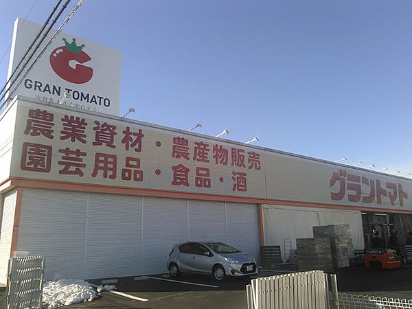 画像24:グラントマト筑西店 196m