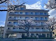 外観・土地