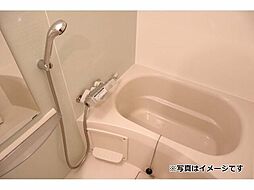 バス