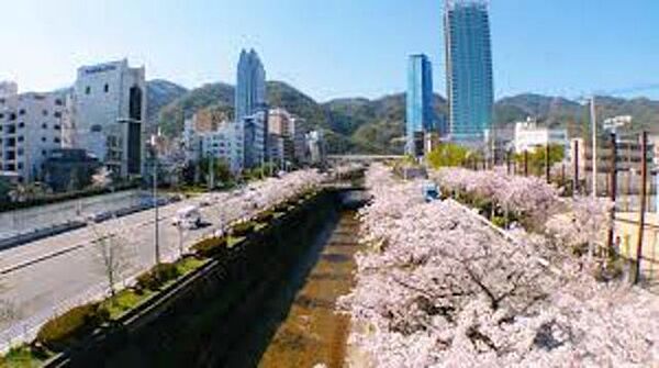 兵庫県神戸市中央区熊内町４丁目(賃貸マンション1LDK・3階・39.57㎡)の写真 その15