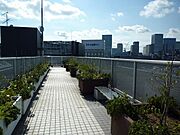 屋上にはスカイガーデン　