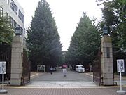 駅周辺