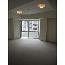 トゥールブランシュ麻布 5階ワンルームのリビング/ダイニング