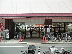 [周辺] ダイエー松戸西口店 414m