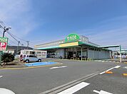 ポテト岩本店 1042m