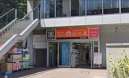 ハイフキヤドラッグ宮崎台駅前店 777m
