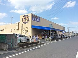 ハイネス・パレス　Ｂ