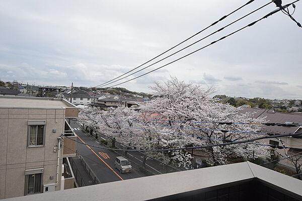画像14:〜桜がとてもきれい〜
