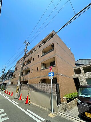 イーリスウィステリア_トップ画像