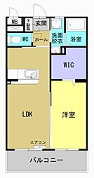 Ｍ10みまた 502 5階1LDKの間取り