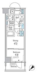 パークアクシス品川南大井パークフロント 1DKの間取図画像