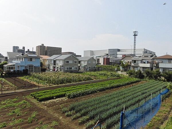 ティンカーベル南林間 201｜神奈川県大和市下鶴間(賃貸アパート2LDK・2階・44.70㎡)の写真 その23