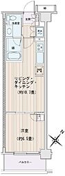 エスティメゾン豊洲レジデンスB棟 1LDKの間取図画像