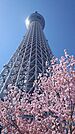 東京スカイツリータウン 382m