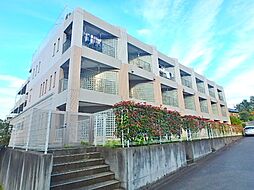 横浜線 八王子みなみ野駅 徒歩11分