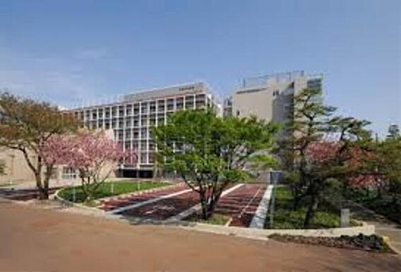 モナーク相模原参番館_周辺_4