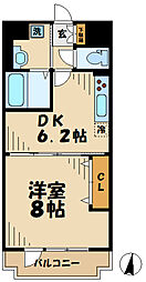 パステルプラザ 8階