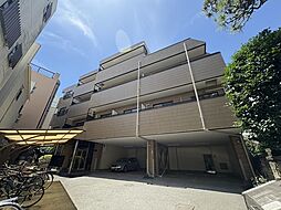 コート　スプルース