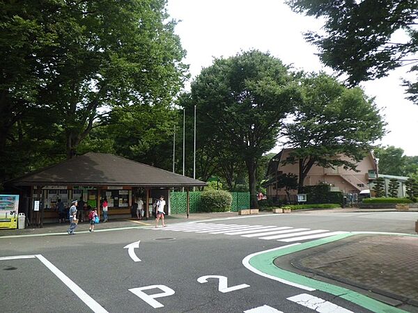ＧＲＥＥＮ　ＮＥＳＴ6