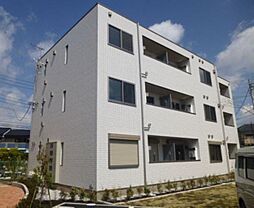 ラシーネ扇サクラ