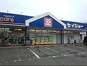 ヘルスケアセイジョー成瀬店 262m