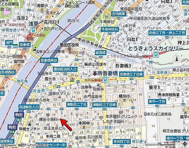 地図