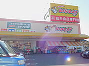 エブリィビッグデー三島南店 1040m