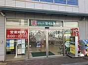 ドラッグ セイムス 茅ヶ崎南口店 317m