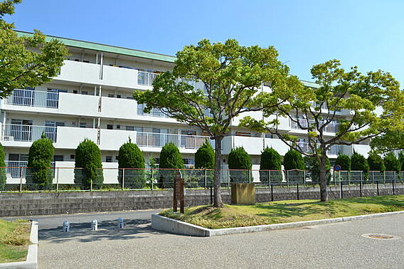 牟田ハイツ_その他_2