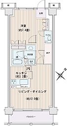 エスティメゾン豊洲レジデンスB棟 1LDKの間取図画像